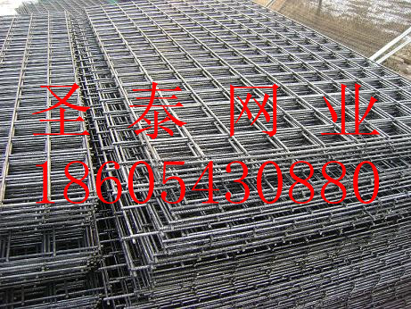 支護(hù)網(wǎng) 噴漿網(wǎng) 山東篩網(wǎng)